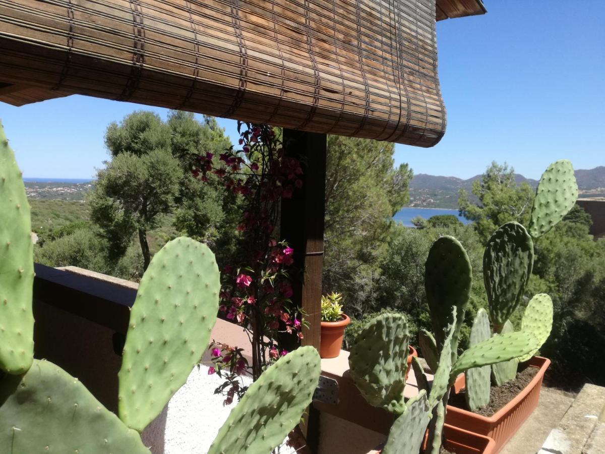 Lucianasit Apartment Cugnana Verde ภายนอก รูปภาพ